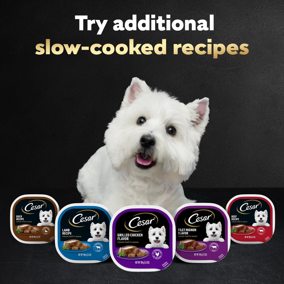 Cesar Classic Loaf in Sauce Wet Dog Food, Meaty Selects, 3.5 oz, 36 Count