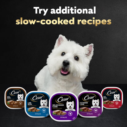 Cesar Classic Loaf in Sauce Wet Dog Food, Meaty Selects, 3.5 oz, 36 Count