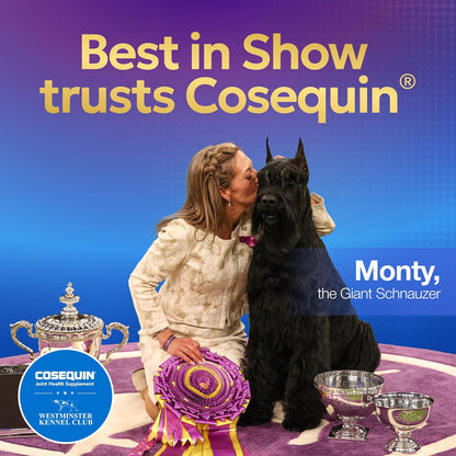 Nutramax Cosequin Joint Supplement for Dogs, MSM+HA, Chew Tablets, 250ct