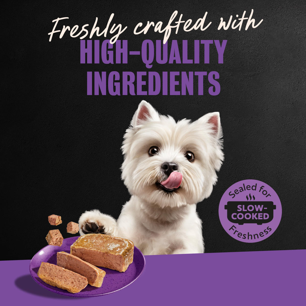 Cesar Classic Loaf in Sauce Wet Dog Food, Meaty Selects, 3.5 oz, 36 Count