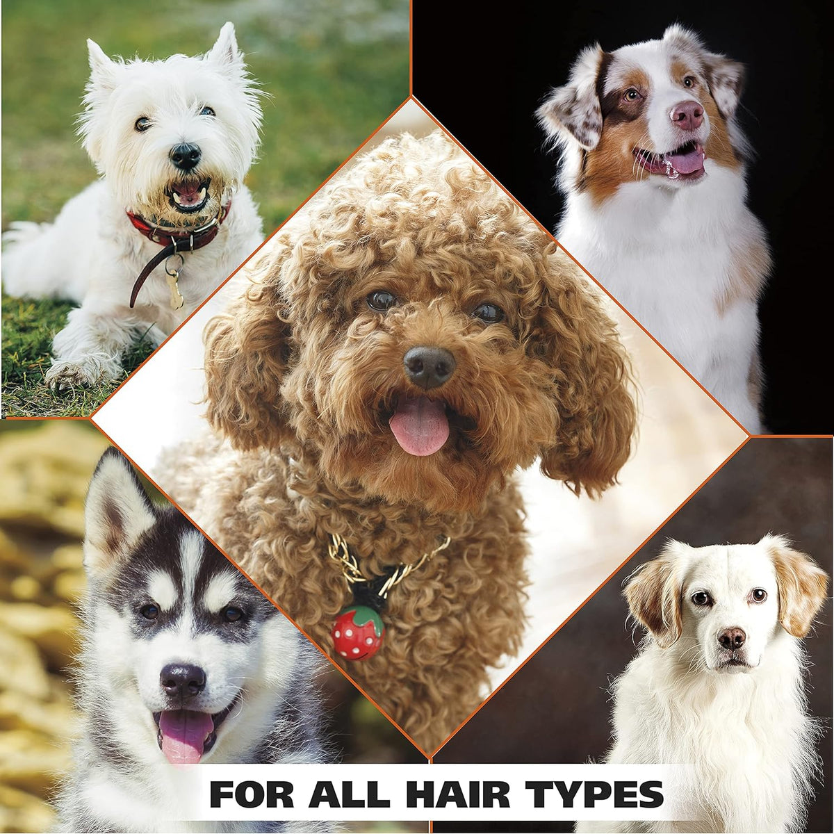 Wahl USA Dry Skin & Itch Relief Pet Shampoo for Dogs – Oatmeal Formula with Coconut Lime Verbena Scent & Pet Friendly Formula, 24 Oz - Model 820004A
