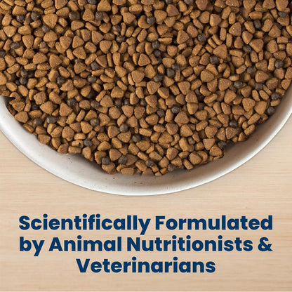 Blue Buffalo Life Protection Formula: A Great Start for Your Puppy