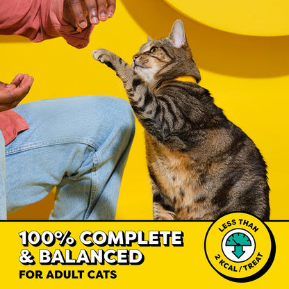 Temptations Classic Crunchy and Soft Cat Treats, Tasty Chicken, 30 oz