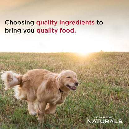 Diamond Naturals Adult Dry Dog Food, Lamb Meal & Rice, 40lb