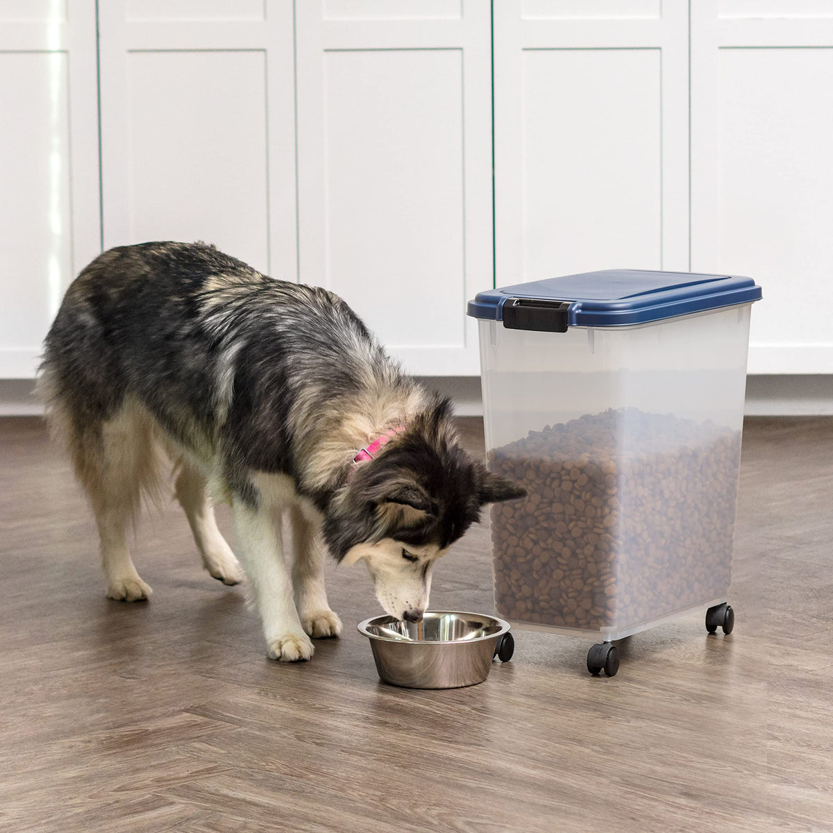 IRIS USA Dog Food Storage Container, Up to 10 lbs, Clear/Gray, Made in USA