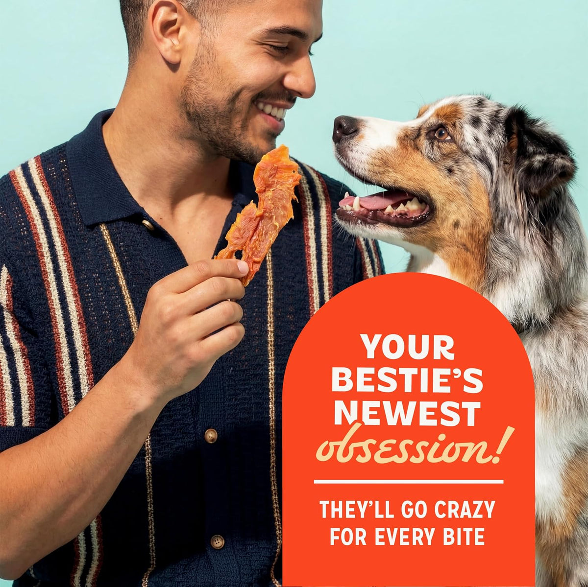 Pur Luv Chicken Jerky Dog Treats,100% Real Chicken Breast, 16 Ounces